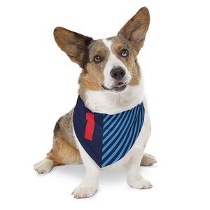 Max Verstappen Dog Bandana - F1 Dog Collar